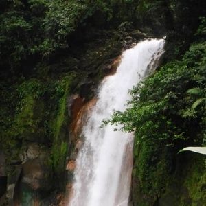 Meet your Posher, Colleen